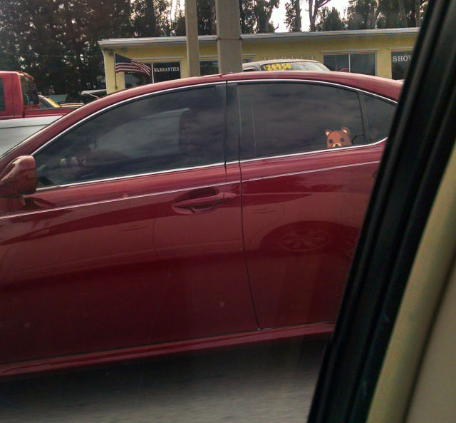 morning picdump 53 pics 24.html - 53 HD Photos | Premium Gallery 2015