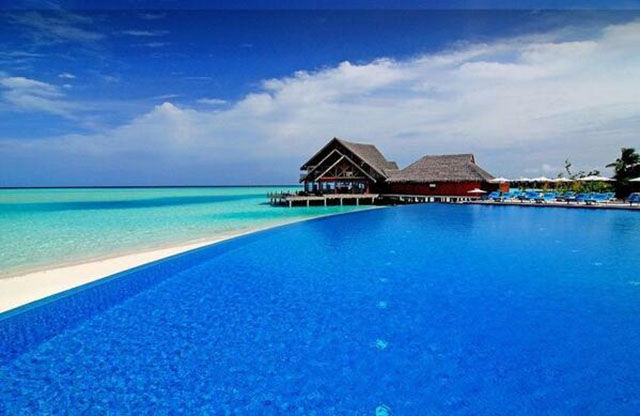 morning picdump 53 pics 24.html - 53 HD Photos | Premium Gallery 2015