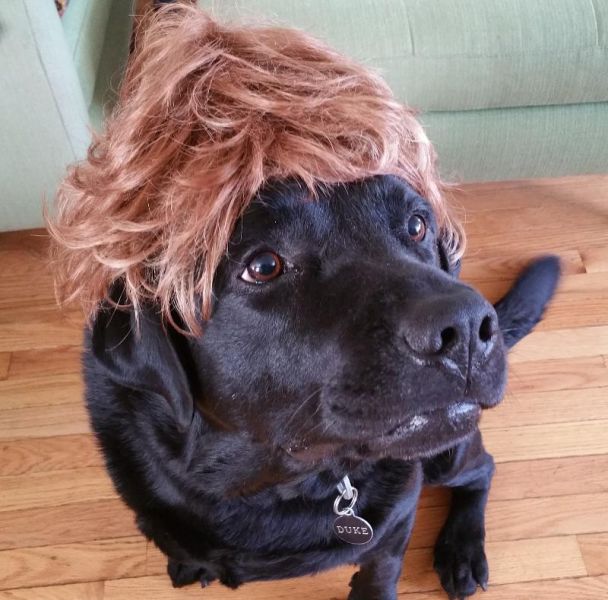 morning picdump 52 pics 21.html - 52 HD Photos | Premium Gallery 2015