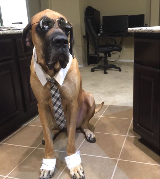 morning picdump 52 pics 21.html - 52 HD Photos | Premium Gallery 2015