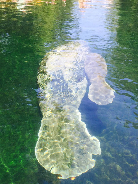 morning picdump 54 pics 7.html - 54 HD Photos | Premium Gallery 2015