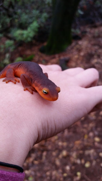 morning picdump 54 pics 7.html - 54 HD Photos | Premium Gallery 2015