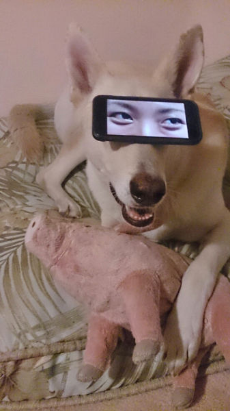 morning picdump 54 pics 7.html - 54 HD Photos | Premium Gallery 2015