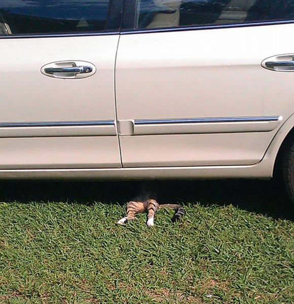 morning picdump 53 pics 2.html - 53 HD Photos | Premium Gallery 2015