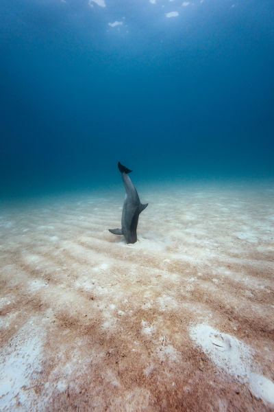 morning picdump 53 pics 2.html - 53 HD Photos | Premium Gallery 2015