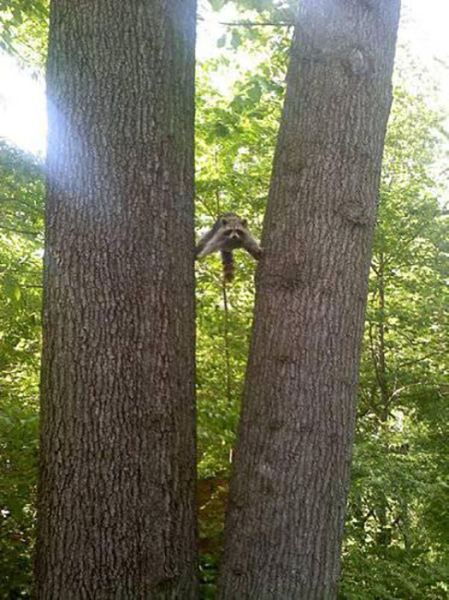 morning picdump 53 pics 2.html - 53 HD Photos | Premium Gallery 2015