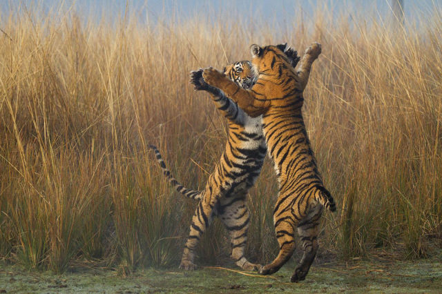 morning picdump 53 pics 2.html - 53 HD Photos | Premium Gallery 2015