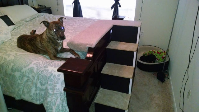 morning picdump 54 pics 2.html - 54 HD Photos | Premium Gallery 2015