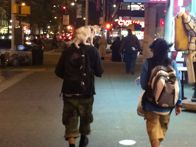 morning picdump 54 pics 2.html - 54 HD Photos | Premium Gallery 2015