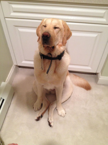 morning picdump 54 pics 3.html - 54 HD Photos | Premium Gallery 2015