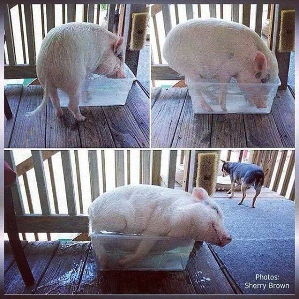 morning picdump 54 pics 3.html - 54 HD Photos | Premium Gallery 2015