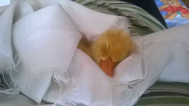 morning picdump 54 pics 3.html - 54 HD Photos | Premium Gallery 2015