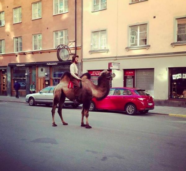 morning picdump 54 pics 3.html - 54 HD Photos | Premium Gallery 2015