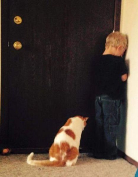 daily picdump 107 pics 1.html - 107 HD Photos | Premium Gallery 2015