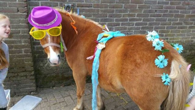 daily picdump 107 pics 1.html - 107 HD Photos | Premium Gallery 2015