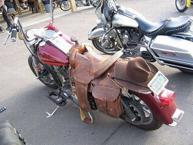 daily picdump 107 pics 1.html - 107 HD Photos | Premium Gallery 2015