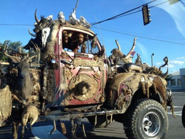 daily picdump 107 pics 1.html - 107 HD Photos | Premium Gallery 2015