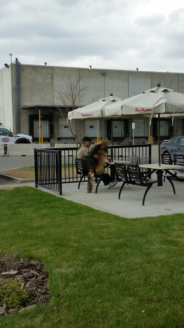 morning picdump 54 pics 8.html - 54 HD Photos | Premium Gallery 2015