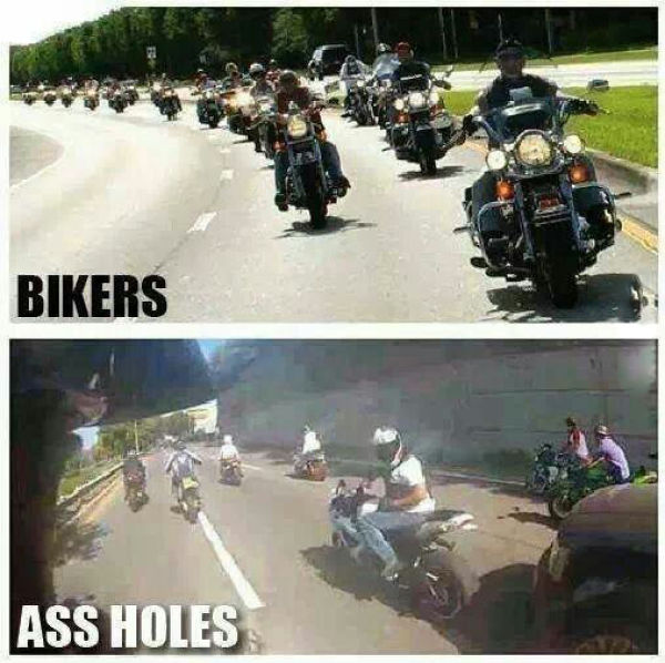 page,3,top 450 funny pics of the year 2015.html - 1 HD Photos | Premium Gallery 2015