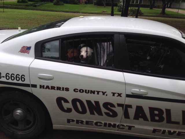 morning picdump 56 pics 21.html - 56 HD Photos | Premium Gallery 2015