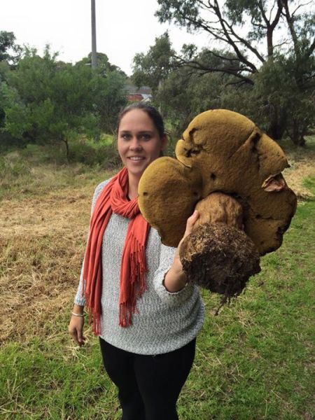 morning picdump 56 pics 21.html - 56 HD Photos | Premium Gallery 2015