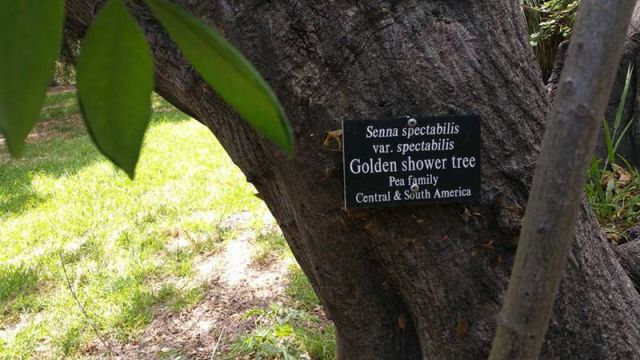 daily picdump 99 pics 28.html - 99 HD Photos | Premium Gallery 2015