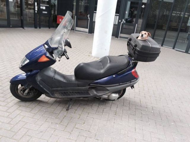 daily picdump 99 pics 28.html - 99 HD Photos | Premium Gallery 2015