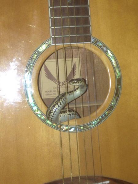 daily picdump 99 pics 28.html - 99 HD Photos | Premium Gallery 2015