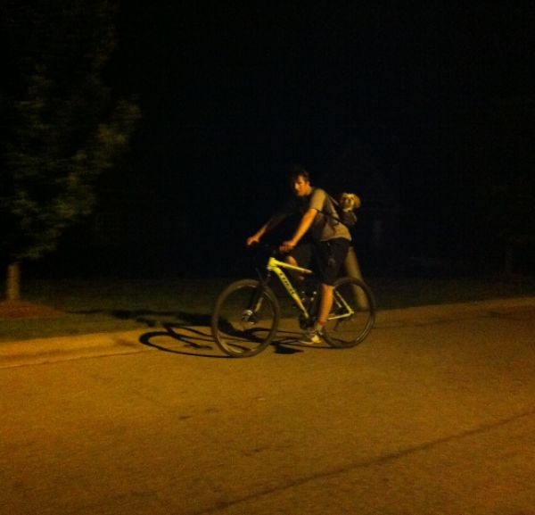 morning picdump 53 pics 16.html - 53 HD Photos | Premium Gallery 2015