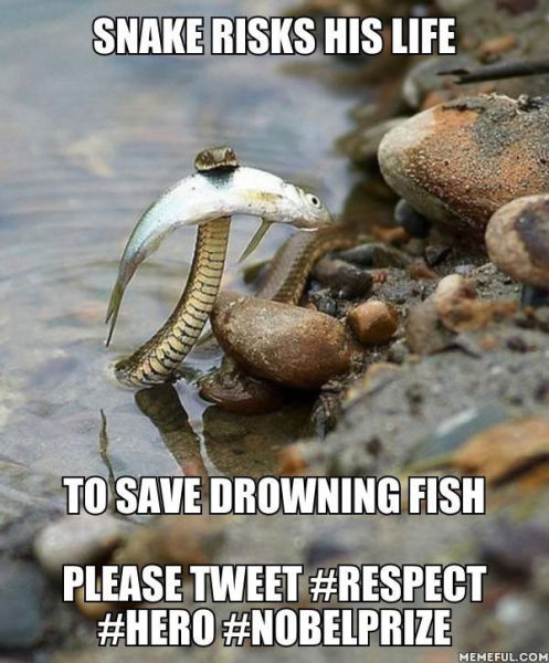 page,18,top 450 funny pics of the year 2015.html - 1 HD Photos | Premium Gallery 2015