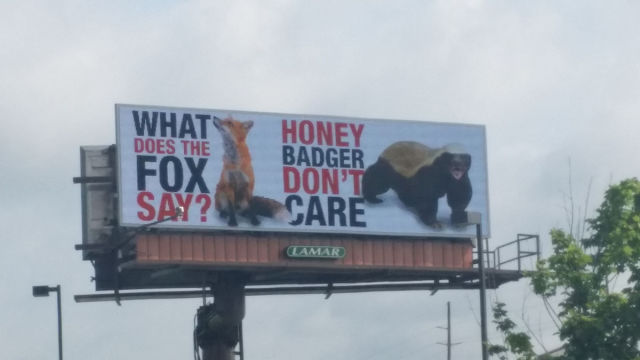 morning picdump 54 pics 27.html - 54 HD Photos | Premium Gallery 2015