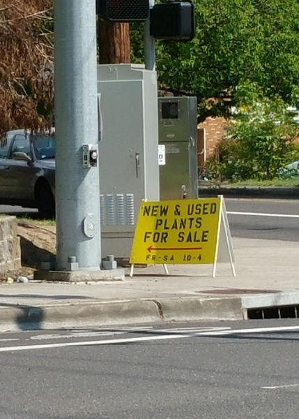 morning picdump 54 pics 27.html - 54 HD Photos | Premium Gallery 2015