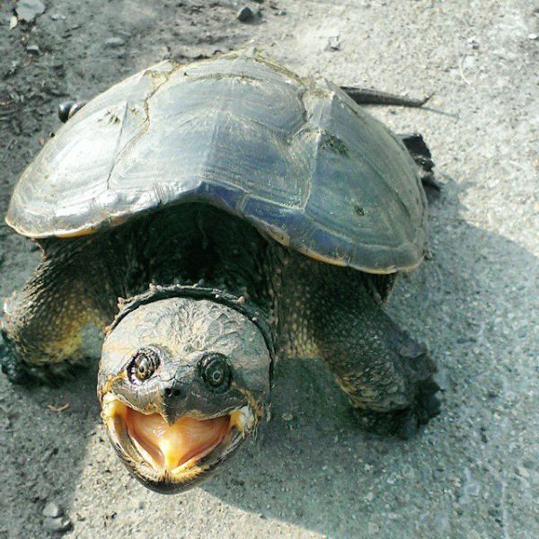 morning picdump 54 pics 27.html - 54 HD Photos | Premium Gallery 2015