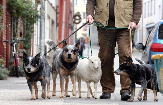 daily picdump 90 pics 31.html - 90 HD Photos | Premium Gallery 2015