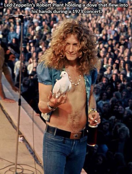 daily picdump 90 pics 31.html - 90 HD Photos | Premium Gallery 2015