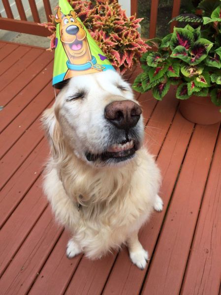 daily picdump 90 pics 31.html - 90 HD Photos | Premium Gallery 2015