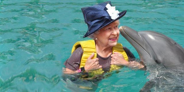 daily picdump 90 pics 31.html - 90 HD Photos | Premium Gallery 2015