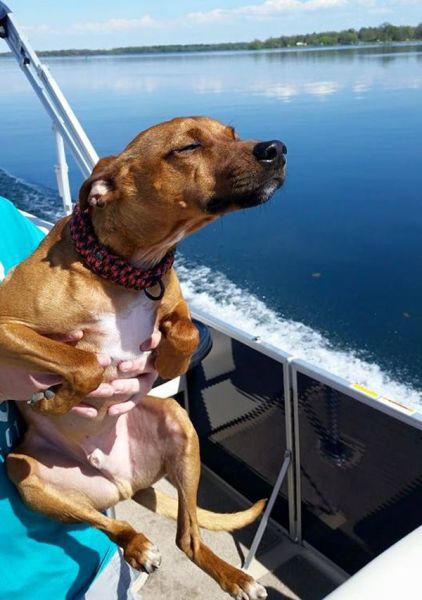 daily picdump 90 pics 31.html - 90 HD Photos | Premium Gallery 2015