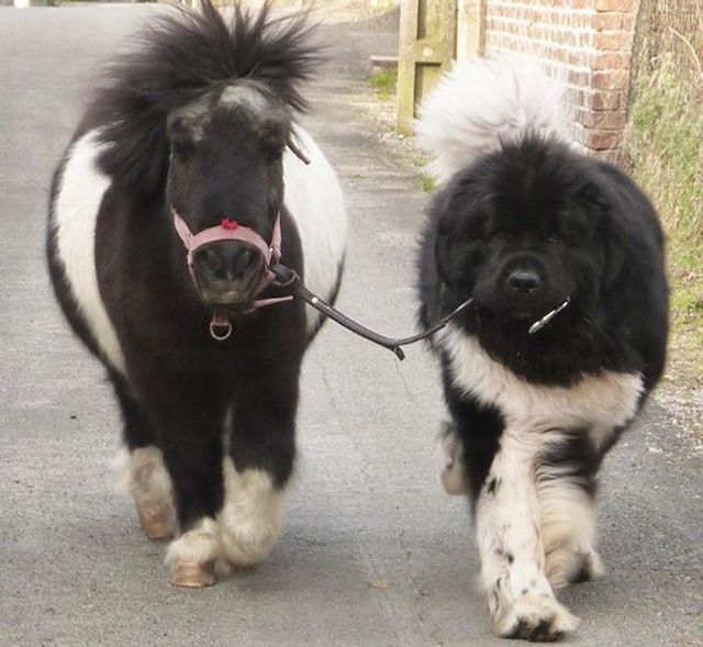 daily picdump 90 pics 31.html - 90 HD Photos | Premium Gallery 2015