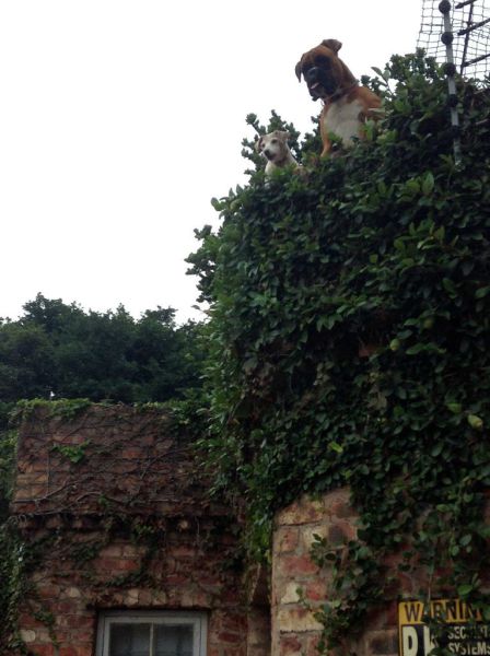 daily picdump 90 pics 31.html - 90 HD Photos | Premium Gallery 2015