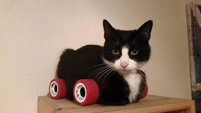 morning picdump 52 pics 4.html - 52 HD Photos | Premium Gallery 2015