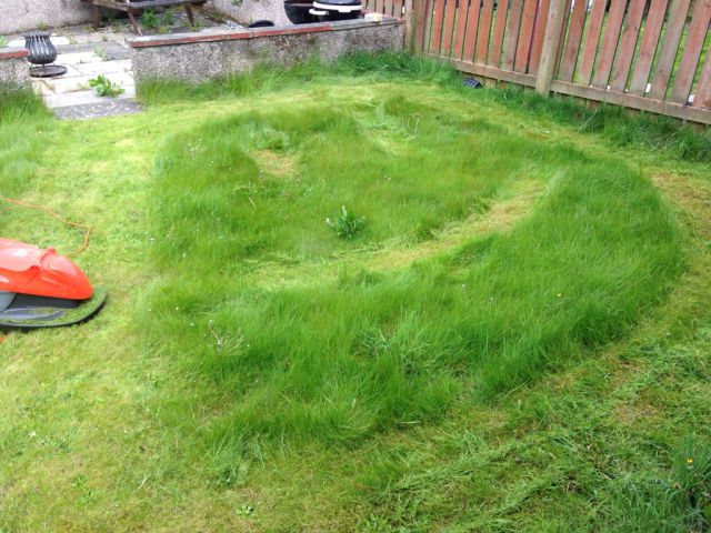 morning picdump 53 pics 8.html - 53 HD Photos | Premium Gallery 2015