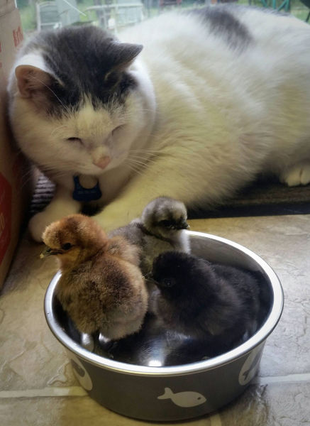 morning picdump 53 pics 8.html - 53 HD Photos | Premium Gallery 2015