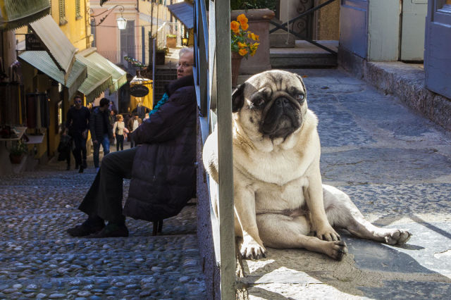 morning picdump 53 pics 8.html - 53 HD Photos | Premium Gallery 2015