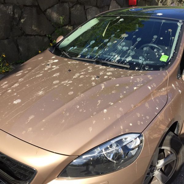 morning picdump 53 pics 8.html - 53 HD Photos | Premium Gallery 2015