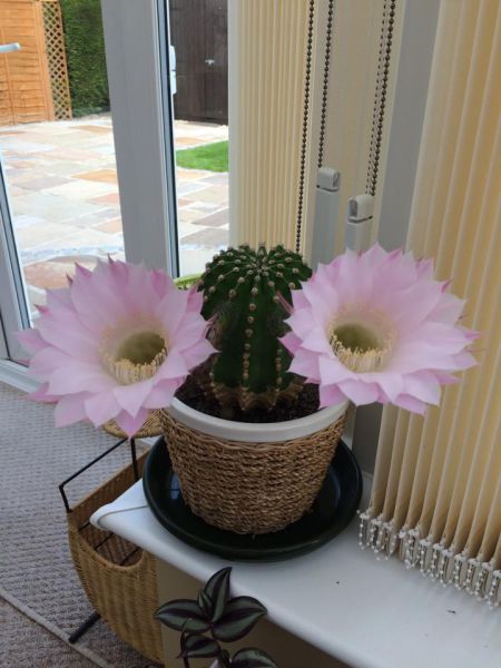 morning picdump 53 pics 8.html - 53 HD Photos | Premium Gallery 2015