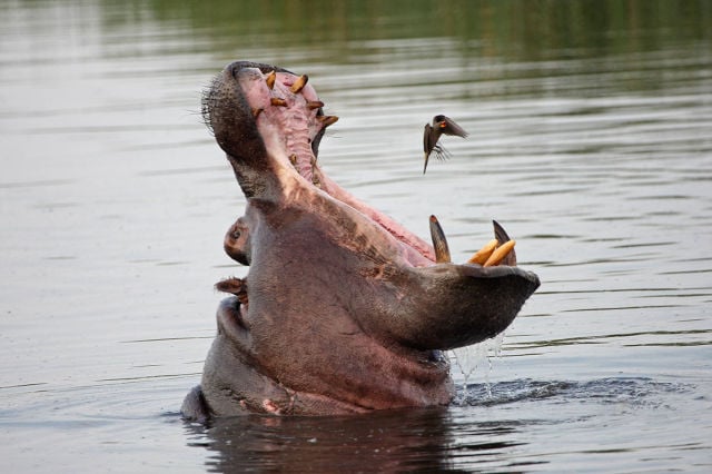 morning picdump 53 pics 20.html - 53 HD Photos | Premium Gallery 2015