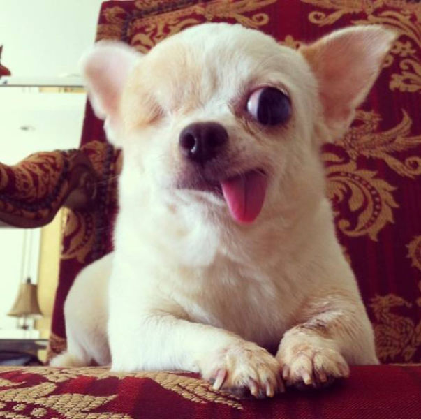 morning picdump 53 pics 20.html - 53 HD Photos | Premium Gallery 2015