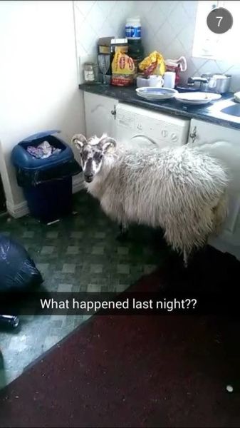 daily picdump 95 pics 3.html - 95 HD Photos | Premium Gallery 2015