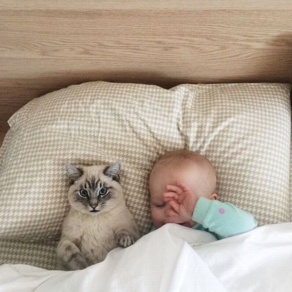 daily picdump 95 pics 3.html - 95 HD Photos | Premium Gallery 2015